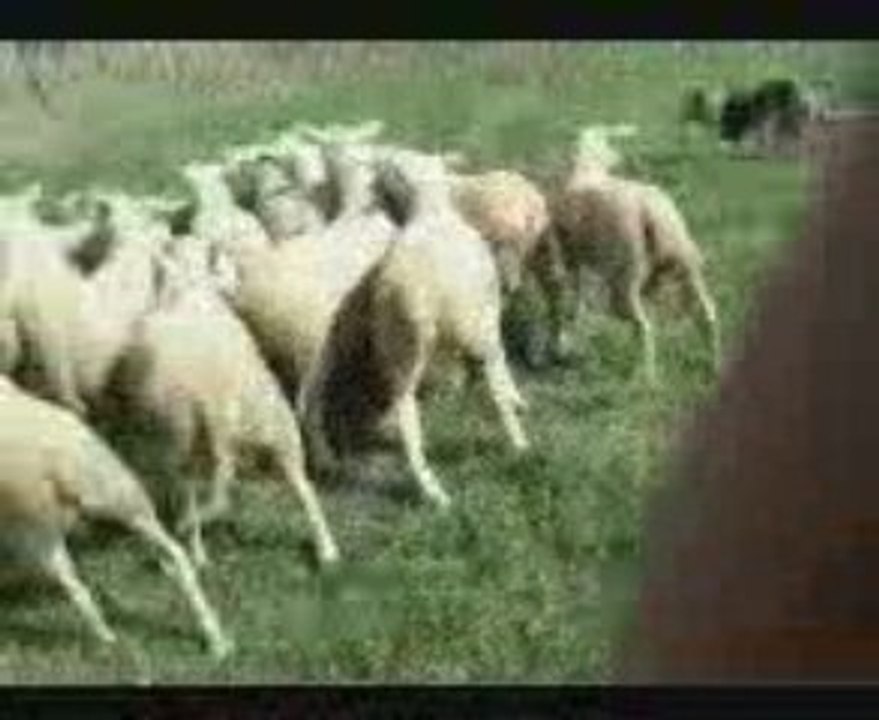 VID 00005-20090807-1000