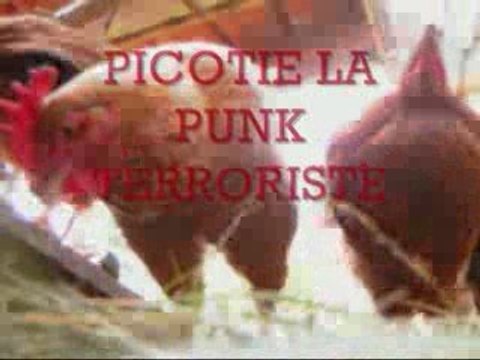 Les poules (ex gros lézards)