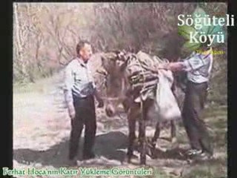 Söğüteli Köyü Ferhat Hoca'nın Katır Yükleme Görüntüleri
