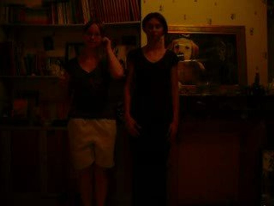 Parodie de single ladies =)