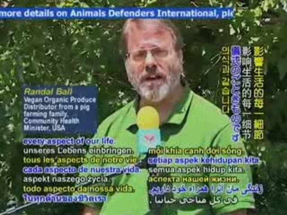 STOP ANIMAL CRUELTY-Swine Flu: Deadly Factory Farms Equals L