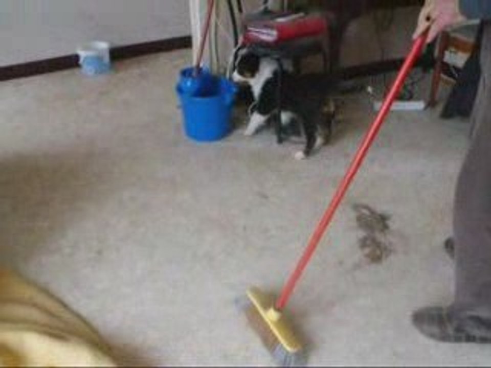 Nity 2 mois partie 2