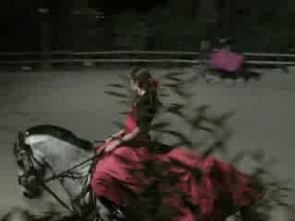 Spectacle de Mathilde bourson et Alison Belleudy ...