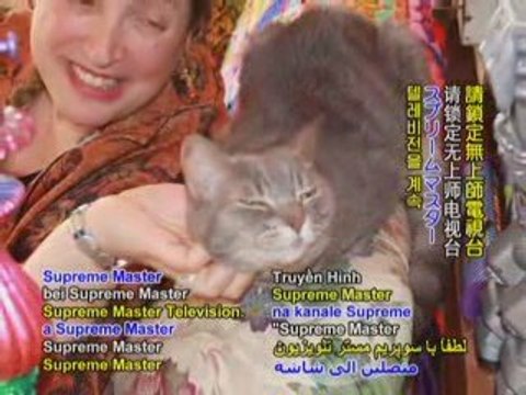 In Purr-fect Harmony: Nora the Piano Cat