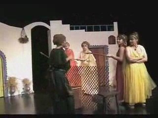 Extrait vidéo L'Assemblée des femmes Festhéa Paca 2006