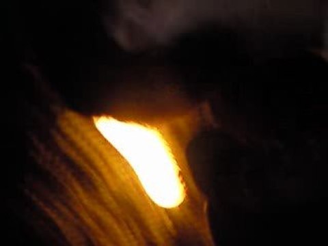 Sortie DAns Les Bois Nuit :)