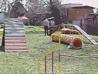 Unofficial race in agility - Hodonín 4. 4. 2009