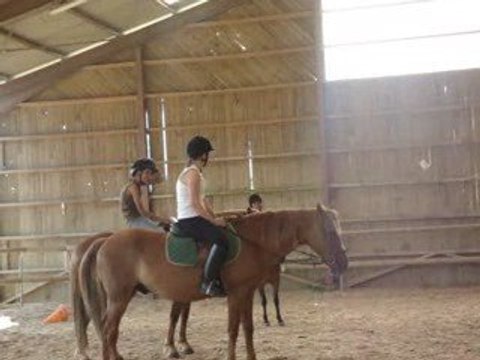 2 eme cours d'équitation de sylvie