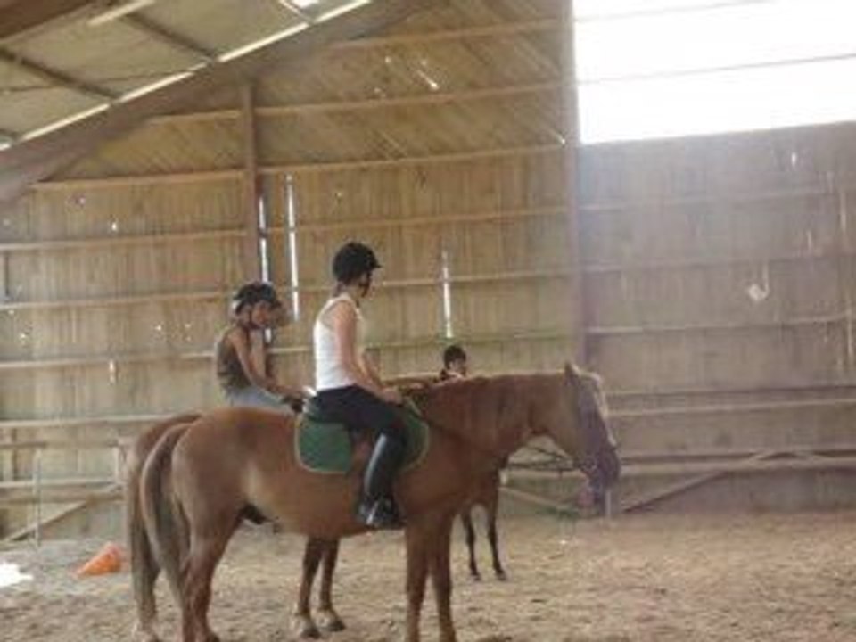 2 eme cours d'équitation de sylvie