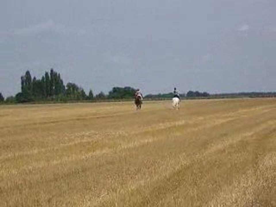 (1)1er trot et 1er galop avec Flann en extérieur