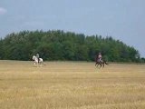 (3)1er trot et 1er galop avec Flann en extérieur