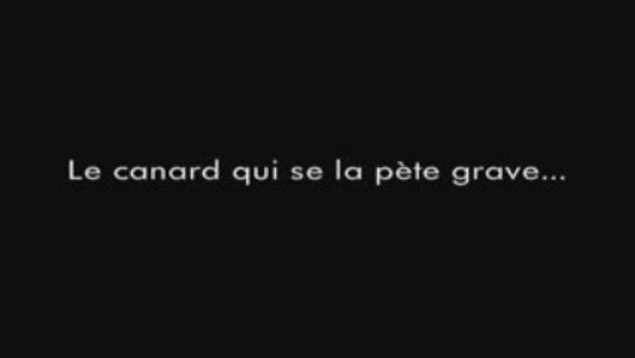TVéméraire DÔKY le canard qui se la pète grave !