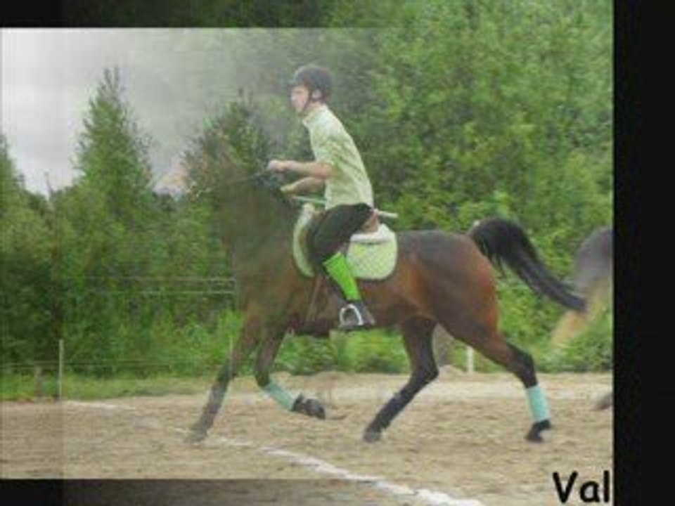 Horse Rider - Compétition de Pony Games - 17 Mai 2009
