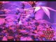 Tips and tricks for growing kush weed with LED lights - 8