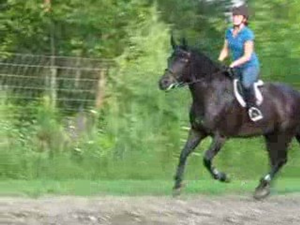 Mini parcours
