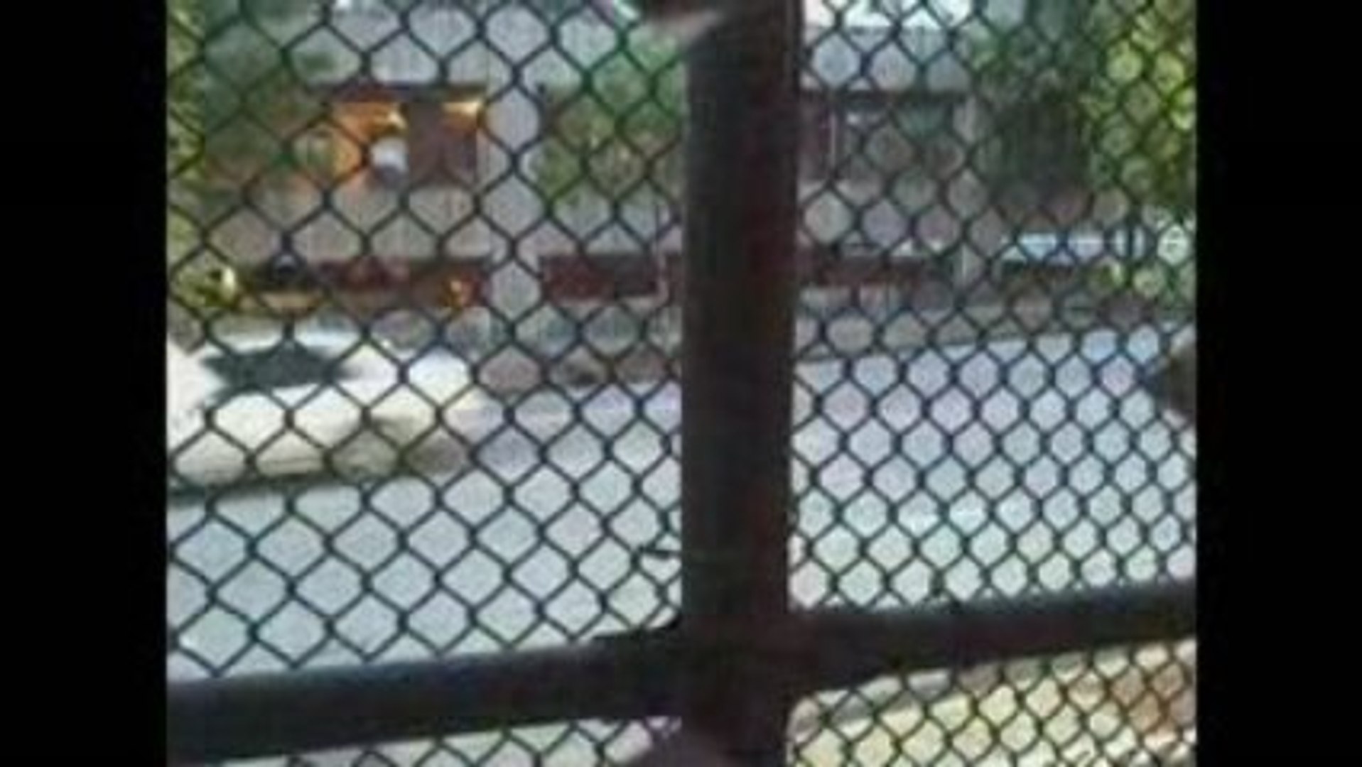 ⁣Mike Fresh Blog #3: ICON Studios ATL {Diddy & 50cent}