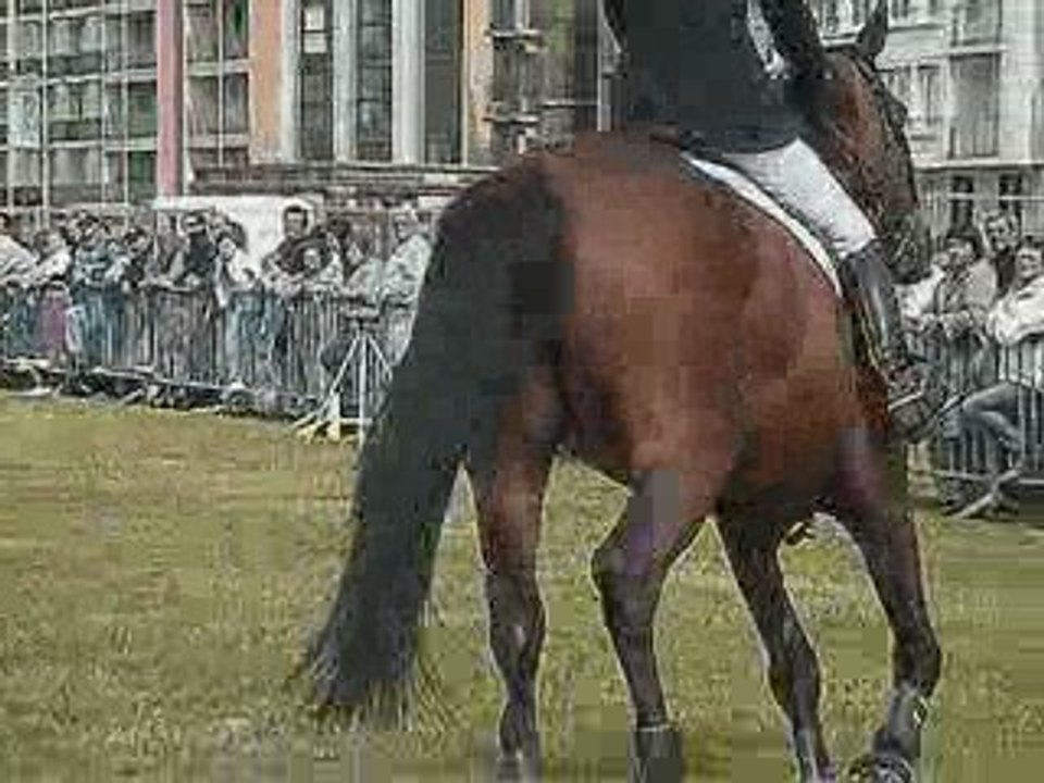 Jumping Dieppe 2oo9