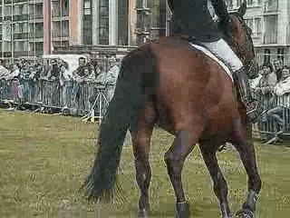 Jumping Dieppe 2oo9