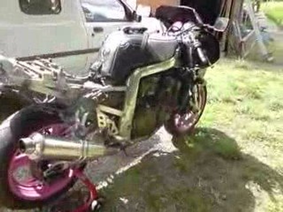 Faune sauvage & Gsx-R