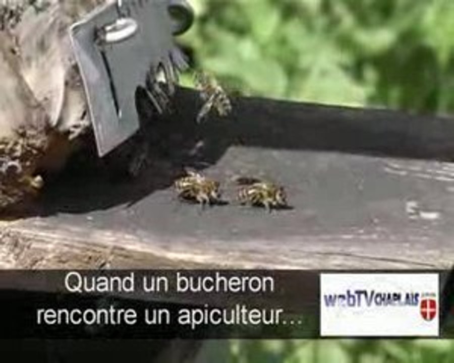 Quand un bucheron rencontre un apiculteur...