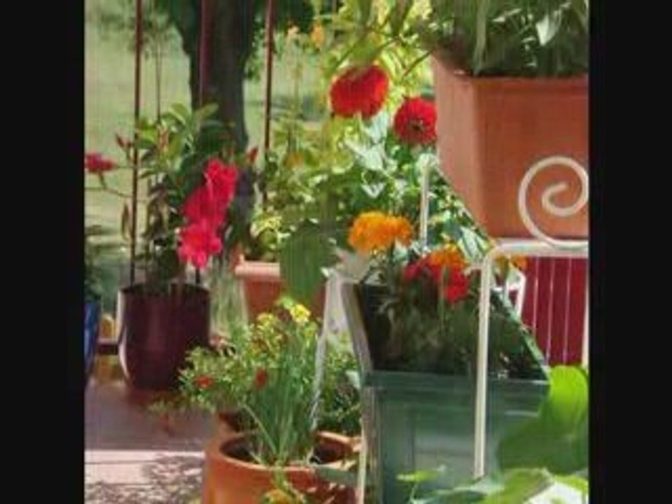 Balcon de juillet 2009