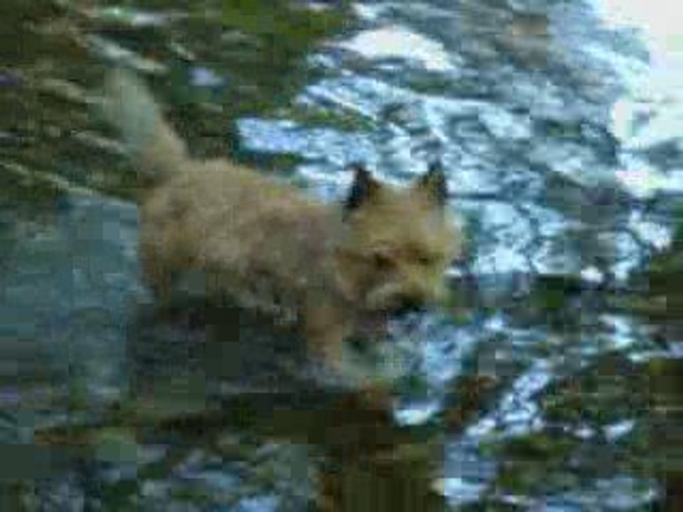 2009 08 08_0001
