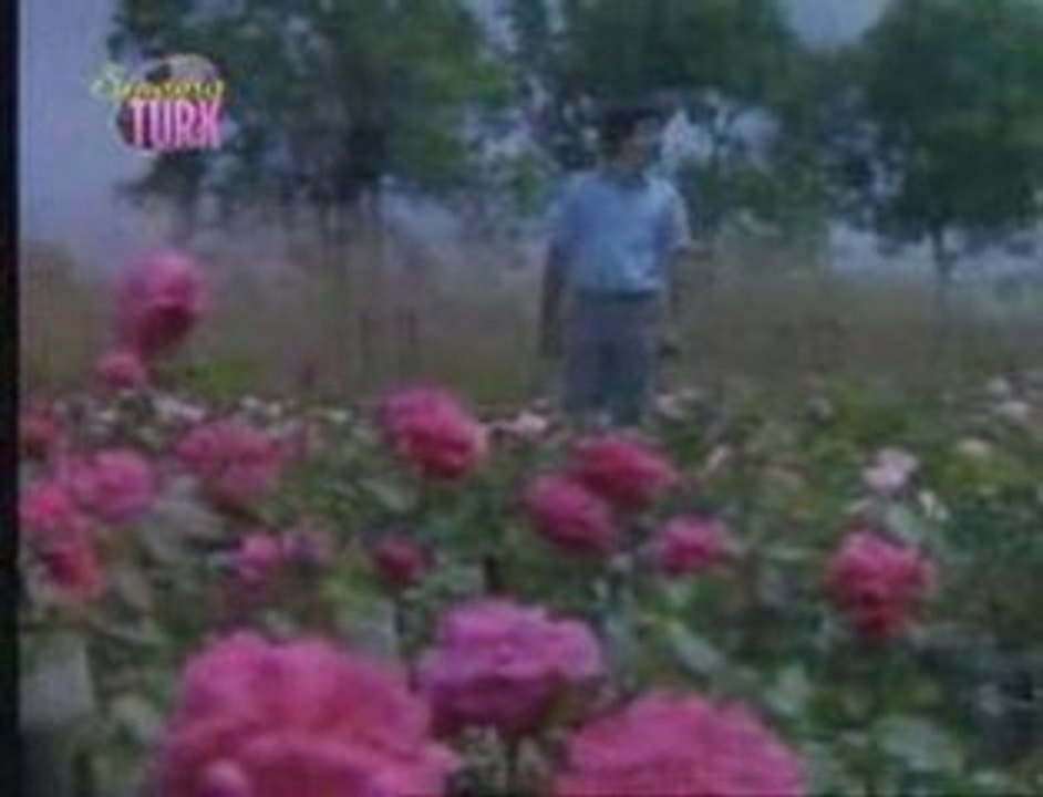 Ferdi Tayfur - Koparma Gülleri