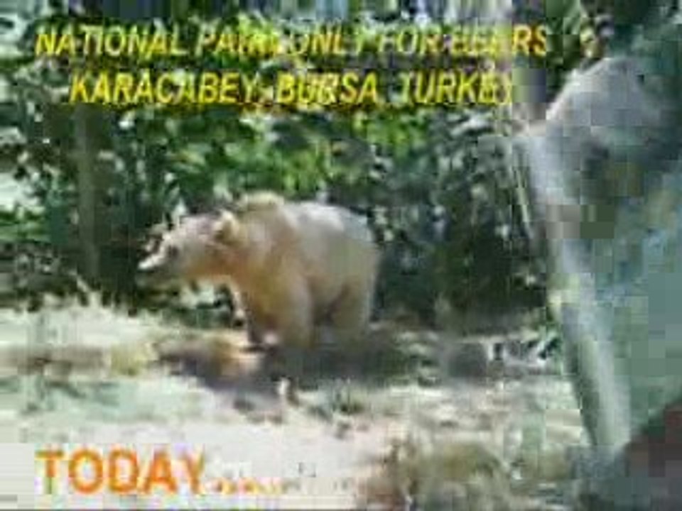 A DROP FROM HEAVEN...