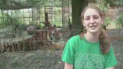 Save Tigers & Bobcats!