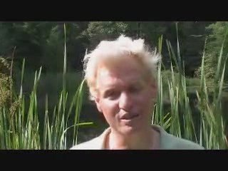 Elves - Learn How to Attract Real Elves to You!