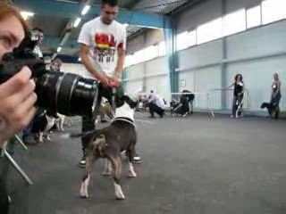 Jon et Mojo à la NE 2009