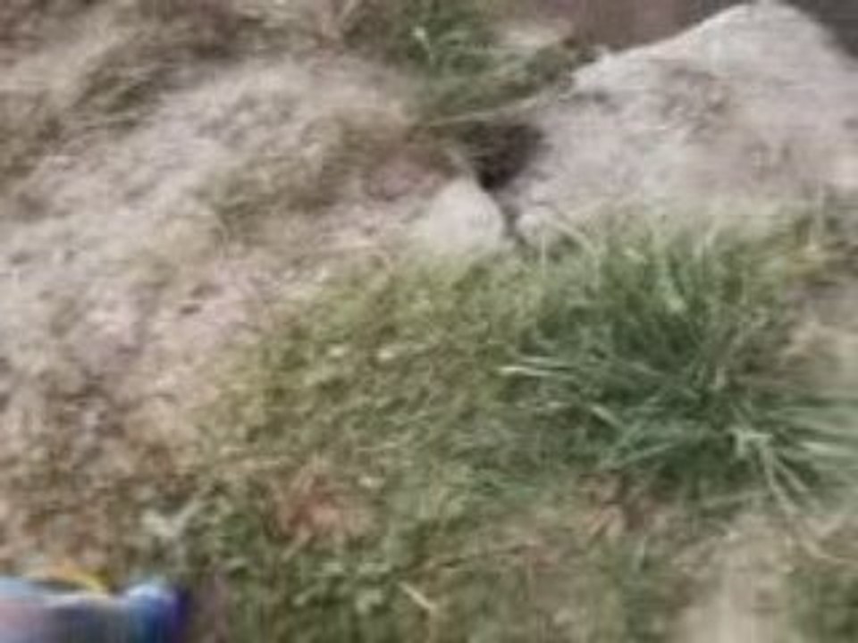 mon premier jor de peche avec mon papa