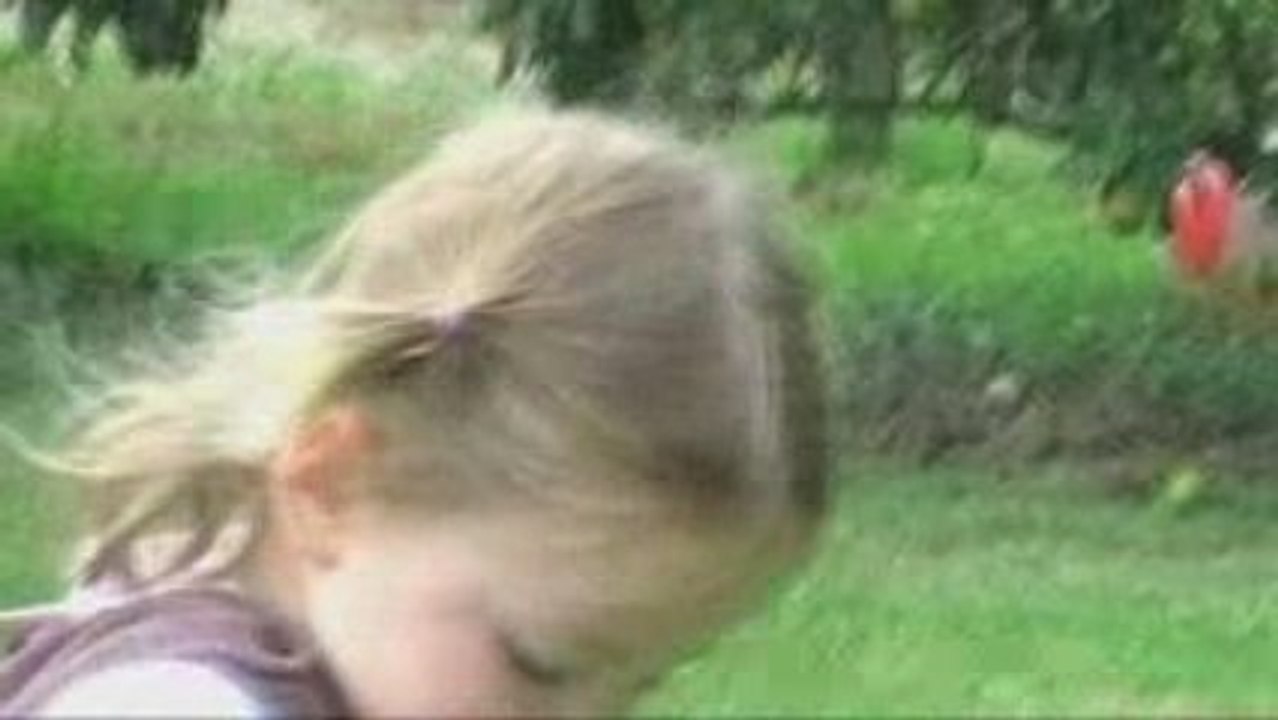 090808_Brouette