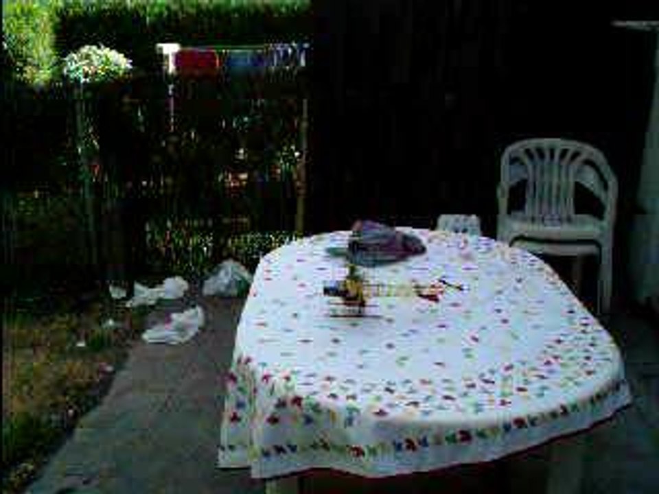 BELL 47G dans mon jardin