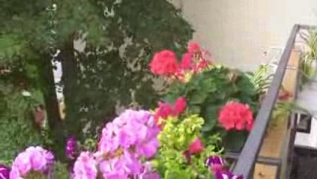 Testvideo2