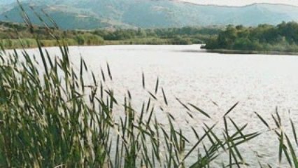 La zone humide de Beni Belaid