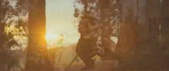Where the Wild Things Are - Feature Trailer