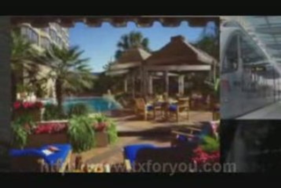 Austin, San Antonio, Houston and Dallas Guide