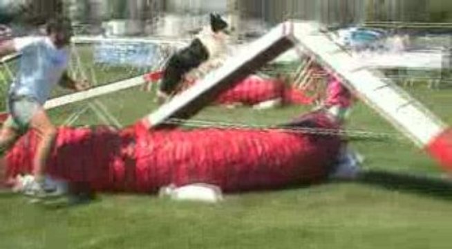 Trophee agility par equipe Montélimar 2009