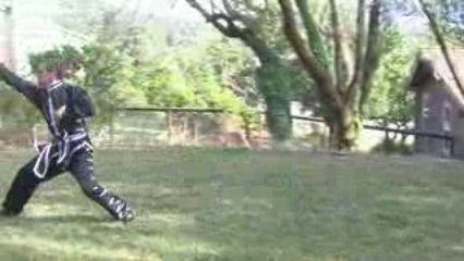 Bai Yuan Tou Tao ("White Ape Steals Peach") DVD Preview Demo