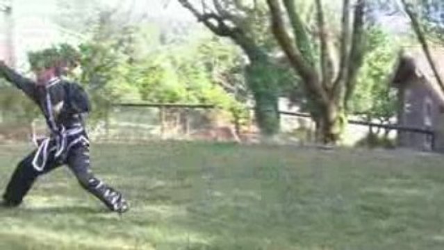 Bai Yuan Tou Tao ( White Ape Steals Peach ) DVD Preview Demo