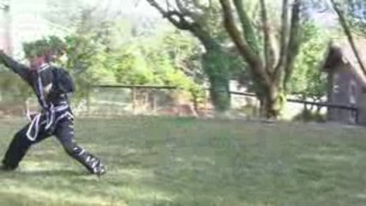 Bai Yuan Tou Tao ("White Ape Steals Peach") DVD Preview Demo