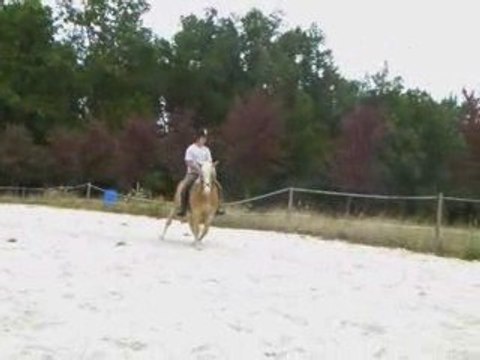 Osiris, cours dressage.