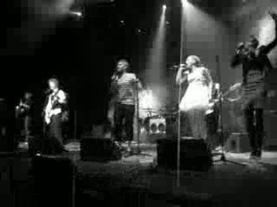 I'm From Barcelona @ Nuits de Fourvière.