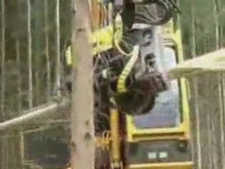 Deforestation massive