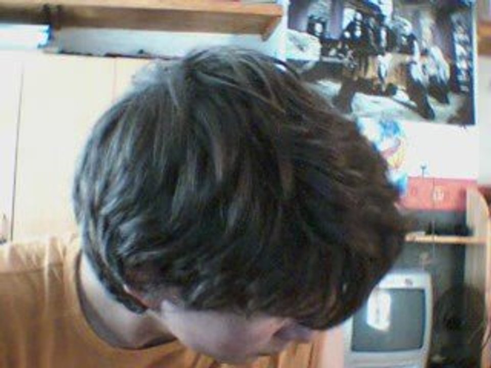 zelda 's windmill hunt