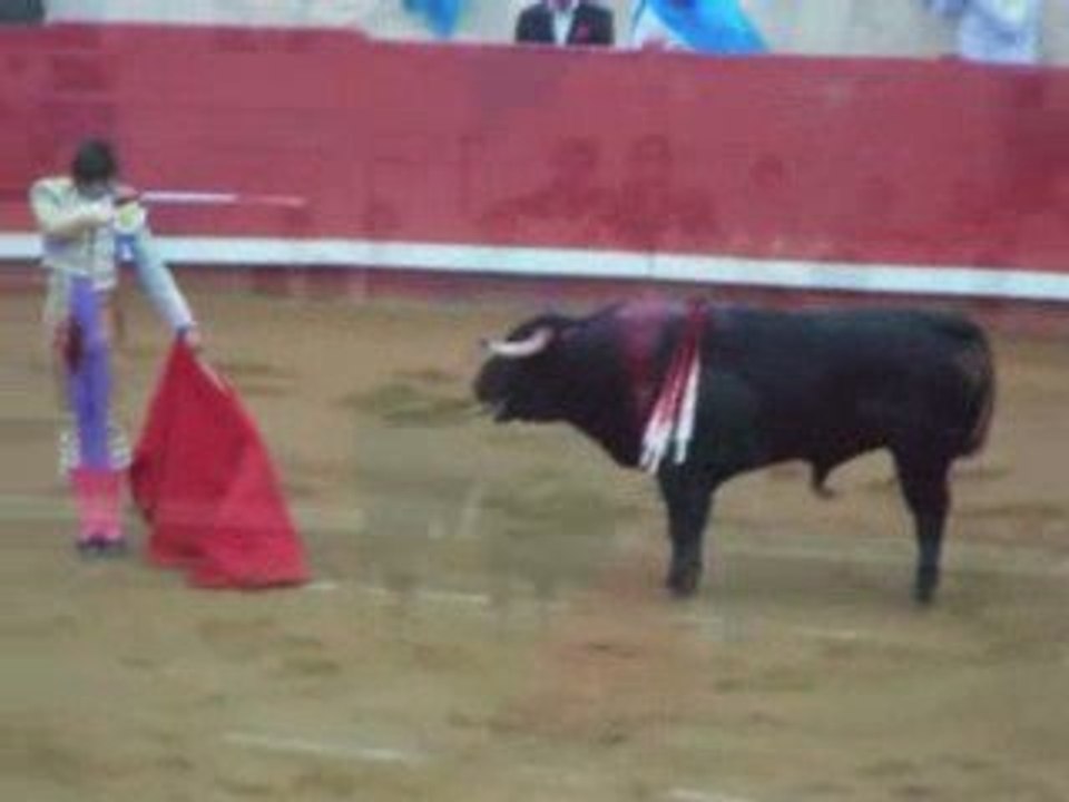 La corrida ( francis cabrel )