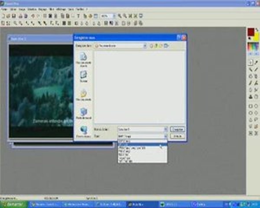 Creation d'un GIF avec Photofiltre à partir d'une video .