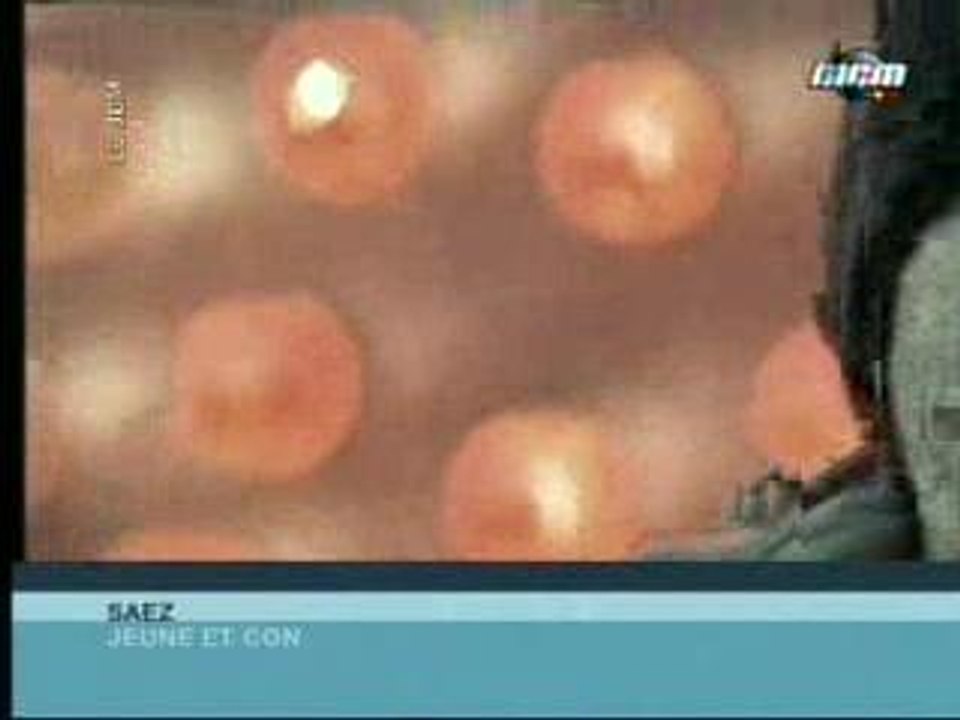 Saez - Interview Mcm (15.11.02)