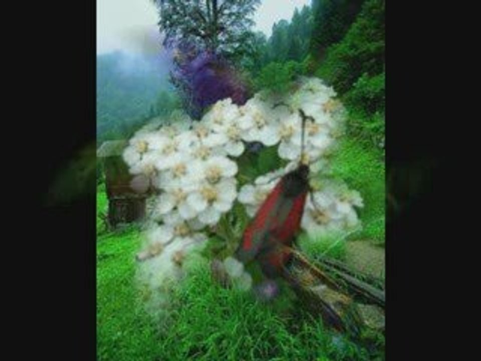 fatih Reyhan-Yar seni sevduğumi-www.kavrun.tr.gg